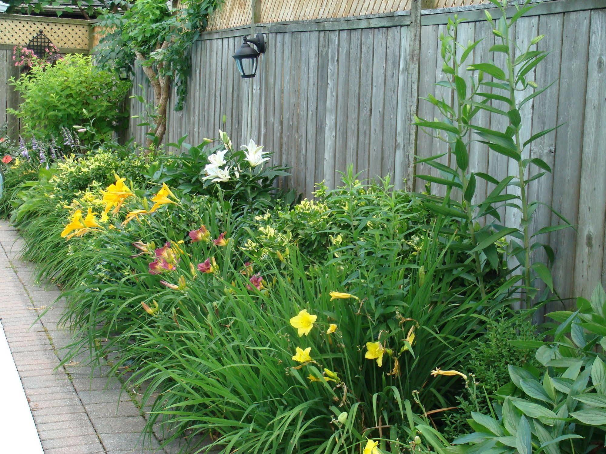 Robinsong Bed & Breakfast Thorold ภายนอก รูปภาพ